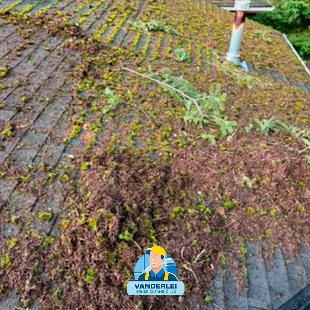 imagem Vanderlei House Cleaning LLC